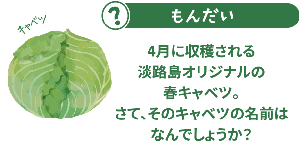 4月に収穫されるあわじ島オリジナルの春キャベツ。さて、そのキャベツの名前はなんでしょうか？