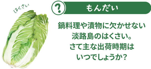 鍋料理や漬物に欠かせないあわじ島の白菜。さて主な出荷時期はいつでしょうか？
