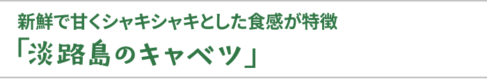 「あわじ島キャベツ」