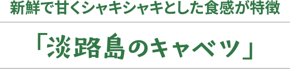 「あわじ島キャベツ」