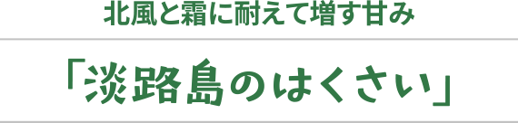 「はくさい」