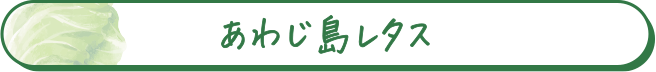 あわじ島レタス