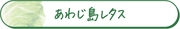 あわじ島レタス