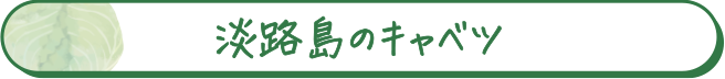 あわじ島キャベツ