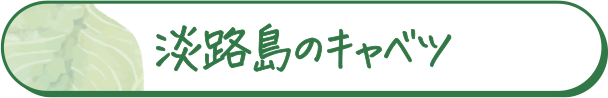 あわじ島キャベツ